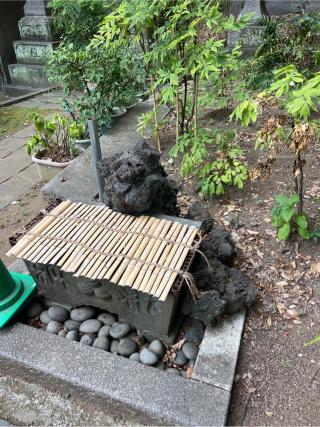 本宮社 (王子稲荷神社境内社)の参拝記録(⛩️🐍🐢まめ🐢🐍⛩️さん)