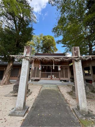 伏見神社の参拝記録(ほちさん)