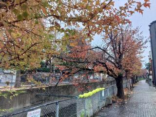 鳩ヶ谷浅間社の参拝記録(しんのすけさん)