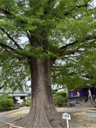 地蔵寺 奥の院 五百羅漢の参拝記録(ノアさん)