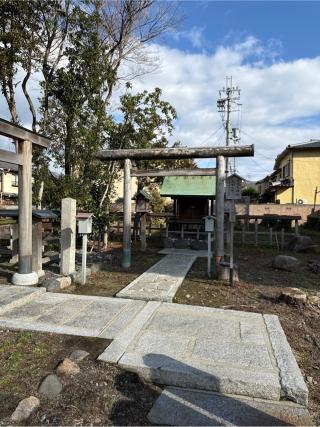 天満天神社の参拝記録(⛩️🐍🐢まめ🐢🐍⛩️さん)