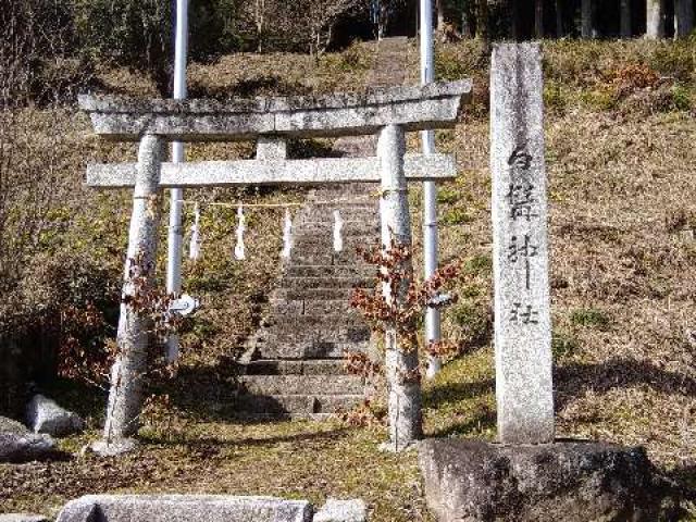 長野県下伊那郡阿智村駒場１８３７ 白髯神社の写真1