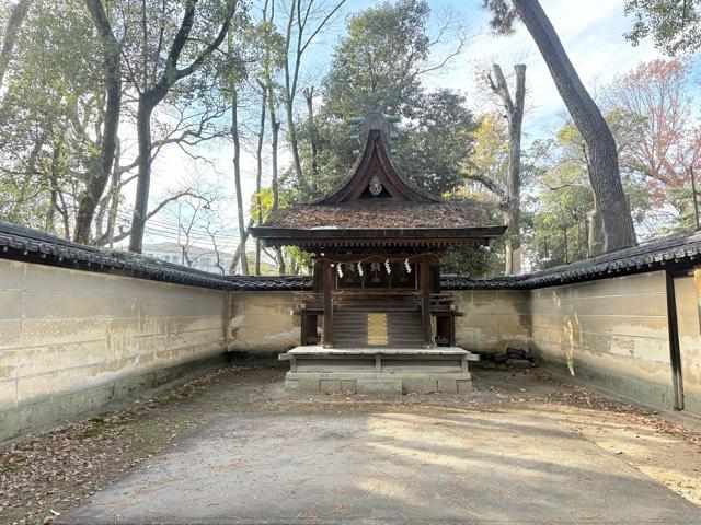 兵庫県伊丹市宮ノ前3-6-1 新宮神社（猪名野神社境内社）の写真2