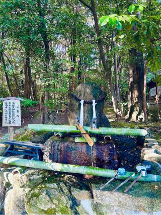 白龍神社（龍田大社末社）の参拝記録(ふうりんパパさん)