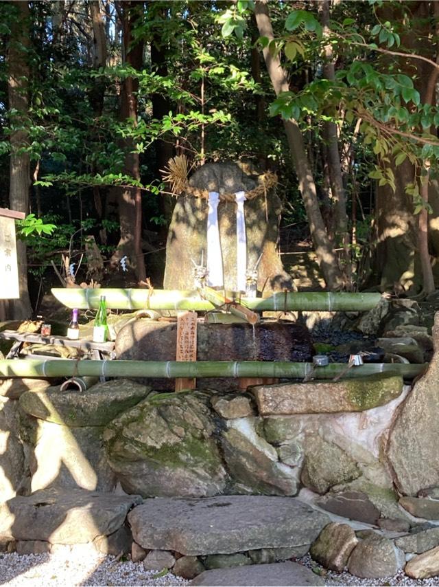 白龍神社（龍田大社末社）の参拝記録5
