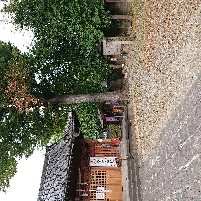 羽黒山大権現(上戸田氷川神社境内社)の参拝記録8