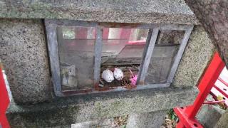 蝮ヶ池龍神社・辨天社の参拝記録(yukiさん)