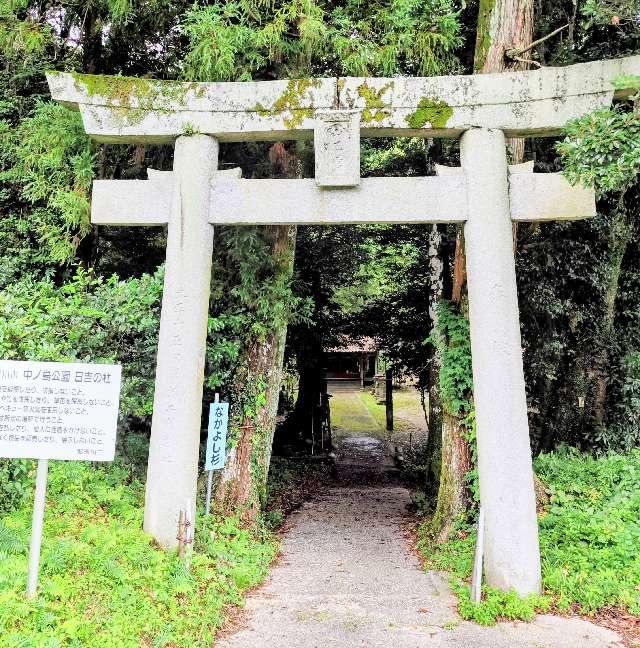 福岡県那珂川市市ノ瀬441 日吉神社の写真3