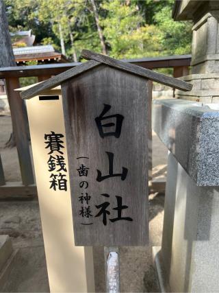 白山社(武田神社境内社)の参拝記録(⛩️🐉🐢まめ🐢🐉⛩️さん)