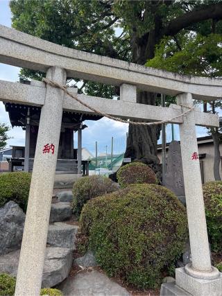 久保浅間神社の参拝記録(⛩️🐍🐢まめ🐢🐍⛩️さん)