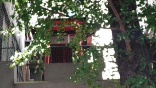 矢場稲荷神社の参拝記録(miyumikoさん)