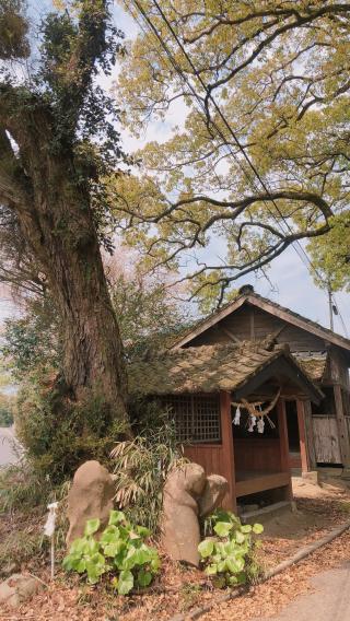 年神神社の参拝記録( 14th moonさん)