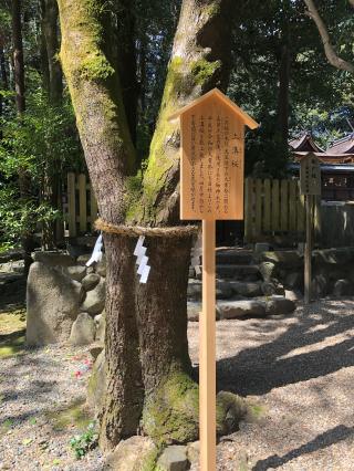 祓戸社（往馬坐伊古麻都比古神社）の参拝記録(KUMIKOさん)