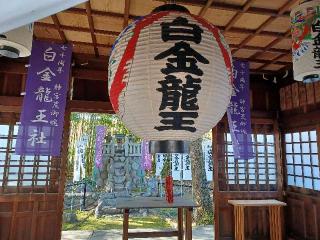 白金龍王社の参拝記録(銀玉鉄砲さん)