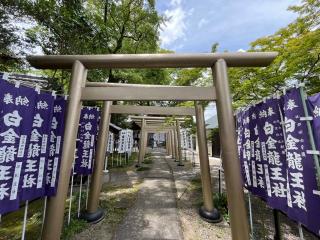 白金龍王社の参拝記録(あまぞんさん)