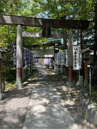 白金龍王社の参拝記録(もみじさん)