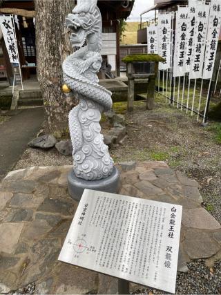白金龍王社の参拝記録(スエさん)