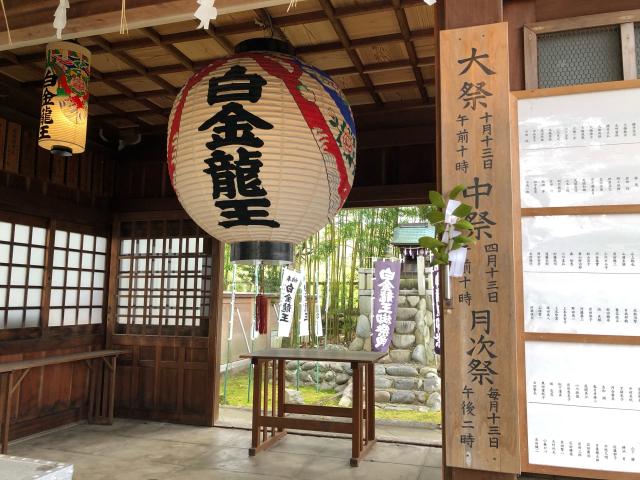 愛知県一宮市奥町字堤下2-95 白金龍王社の写真1