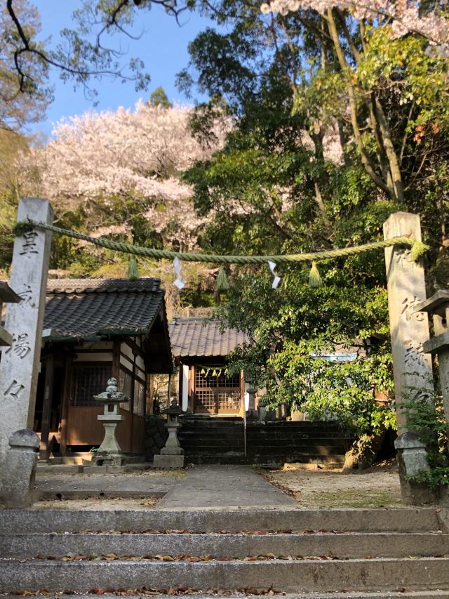 広島県大竹市元町4丁目12 大治社の写真1