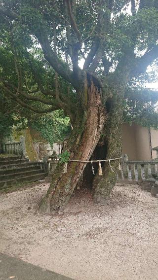 疫神社の参拝記録(ほかまさん)
