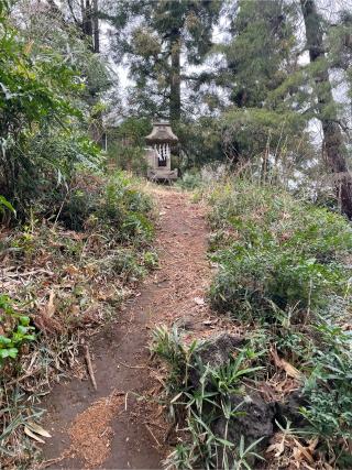 浅間神社(赤塚諏訪社境外社)の参拝記録(ハボタンはケールさん)