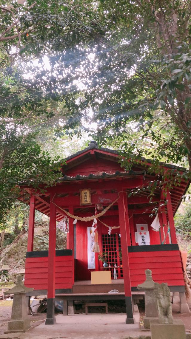 長崎県姶良市脇元2231 白濱神社の写真1