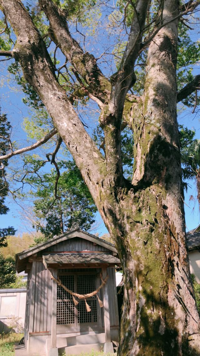 宮崎県宮崎市清武町船引７２９５ 山ノ神神社の写真2