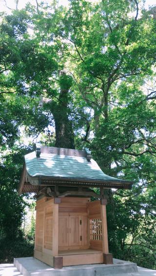 稲荷神社の参拝記録( 14th moonさん)