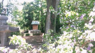 稲荷神社の参拝記録( 14th moonさん)