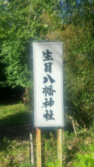 新田八幡神社の参拝記録(雪月さん)