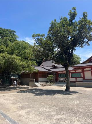 大国主西神社(西宮神社境内社)の参拝記録(⛩️🐍🐢まめ🐢🐍⛩️さん)