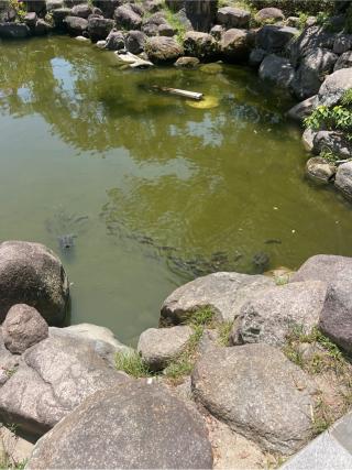 市杵島神社(西宮神社境内社)の参拝記録(⛩️🐍🐢まめ🐢🐍⛩️さん)