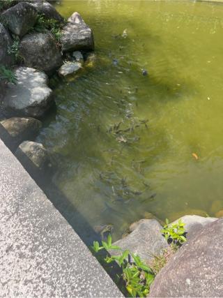 市杵島神社(西宮神社境内社)の参拝記録(⛩️🐍🐢まめ🐢🐍⛩️さん)