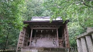 伊射奈伎神社の参拝記録(あひるさん)