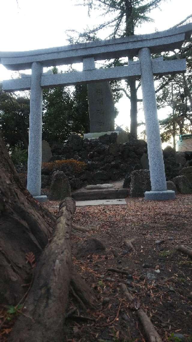 浅間神社(川口神社富士塚)の参拝記録8