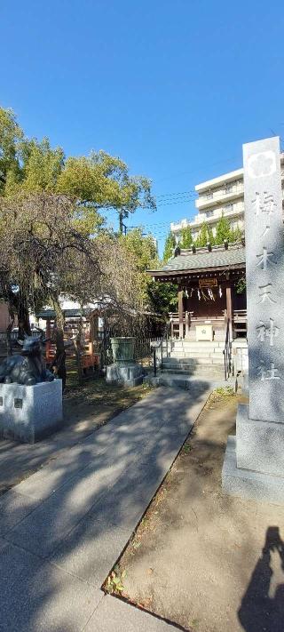 梅ノ木天神社(川口神社境内社)の参拝記録(まーぼーさん)