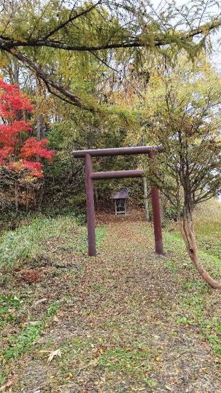 南清水沢神社の参拝記録(ひろちゃんさん)