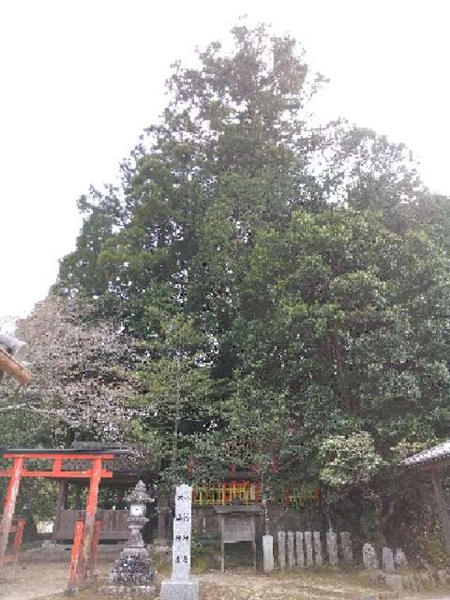 奈良県山辺郡山添村的野820 八幡神社 (山添村的野)の写真2