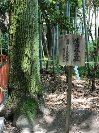 生田森坐社(生田神社 末社)の参拝記録(こーちんさん)