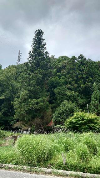 紅原荒神社の参拝記録(Roseさん)