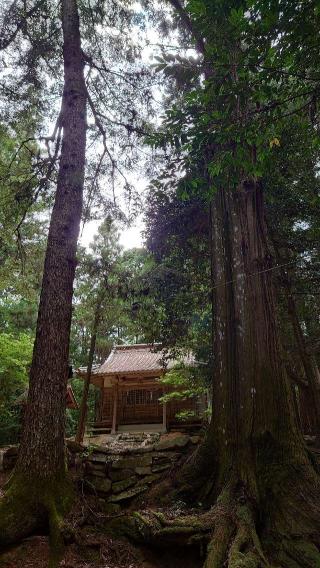 宍戸大明神の参拝記録(Roseさん)