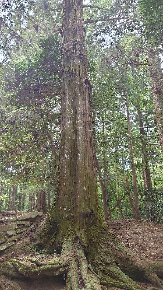 広島県安芸高田市甲田町上甲立1165 宍戸大明神の写真8