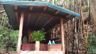 正一位稲荷大明神（加納）の参拝記録(ruinさん)