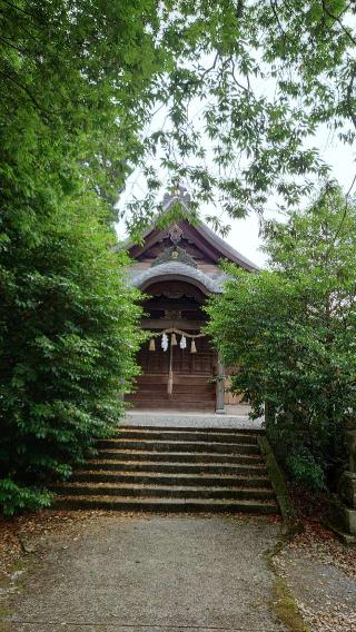根雨神社の参拝記録(おったんさん)