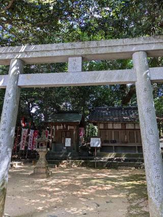 蛭子社（住吉神社境内社)の参拝記録(こまいぬおさん)