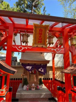 旗上稲荷神社 土宮(阿部野神社)の参拝記録(⛩️🎠🐢まめ🐢🎠⛩️さん)
