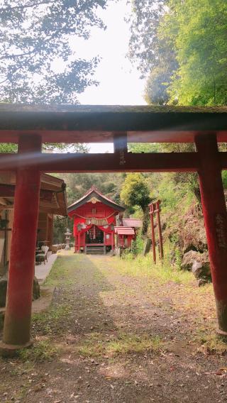 正一位高千穂稲荷大神の参拝記録( 14th moonさん)