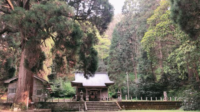 古戸野神社の参拝記録( 14th moonさん)