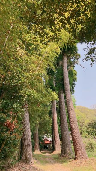 黒口神社の参拝記録( 14th moonさん)