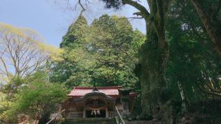 田原熊野神社の参拝記録( 14th moonさん)